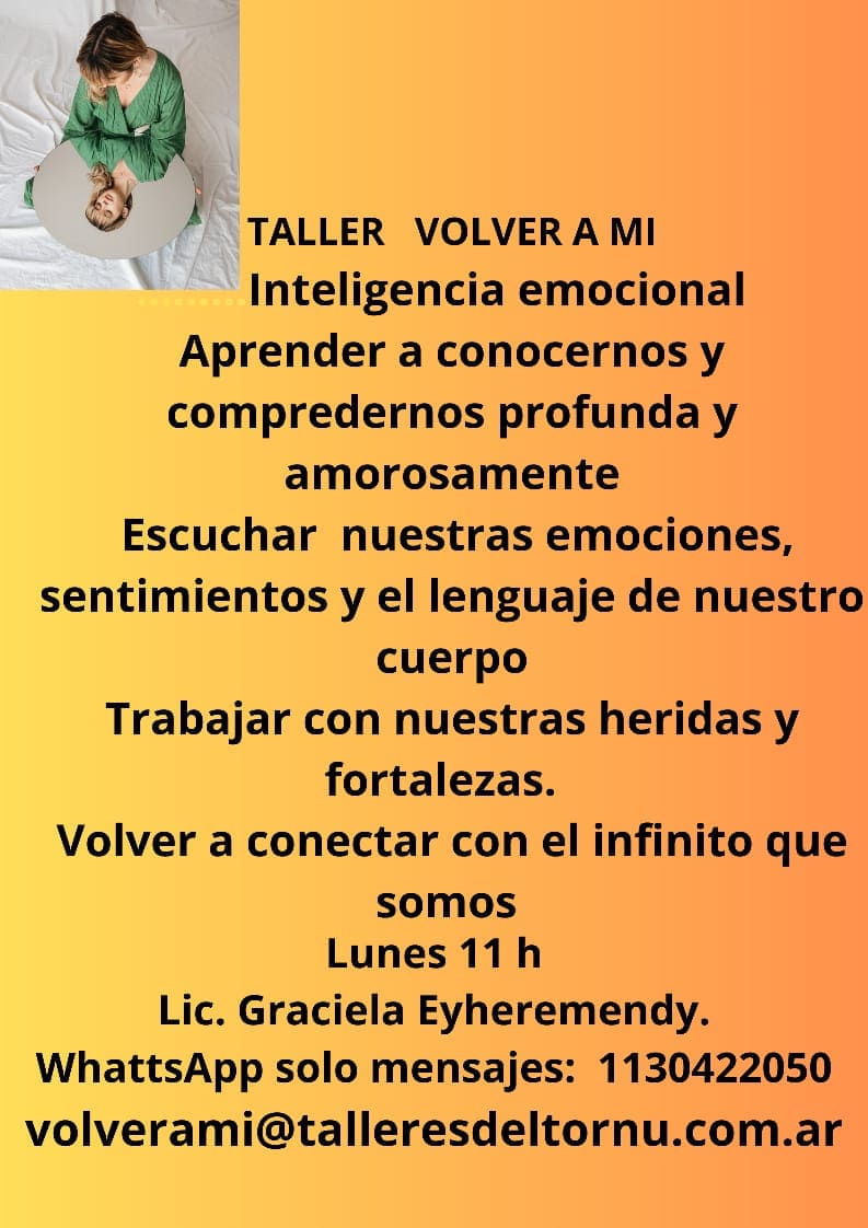 flyer volver a mi 26